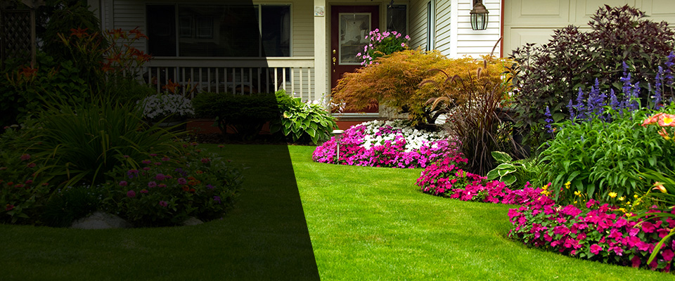 Black Hawk Landscapers